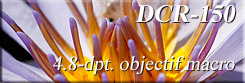 DCR-150 objectif macro 4.8-dioptrie
