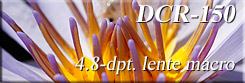 DCR-150 lente macro 4.8-diottria