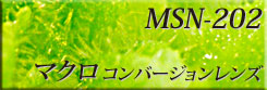驚愕のマクロ倍率-MSN-202