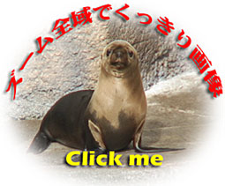 MPEG画像ビューワーが必要になります｡